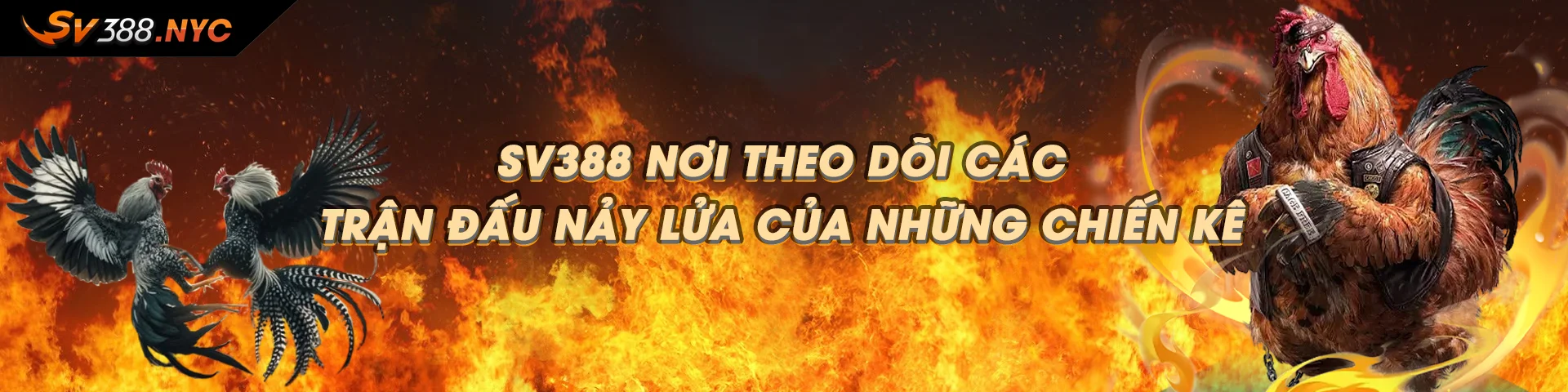 SV388 NYC⚡️ SV 388 | Link Đăng Nhập Đá Gà SV388 Năm 2025 7 Banner sv388