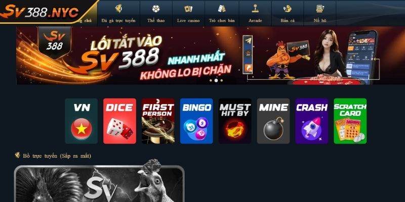 Trải Nghiệm Đá Gà Thomo Sv388 Đỉnh Cao Của Cá Cược 2 Giới thiệu về đá gà Thomo SV388